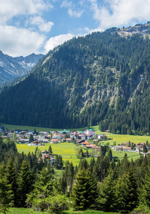 Hotel Tyrol am Haldensee vor Bergkulisse im Sommer