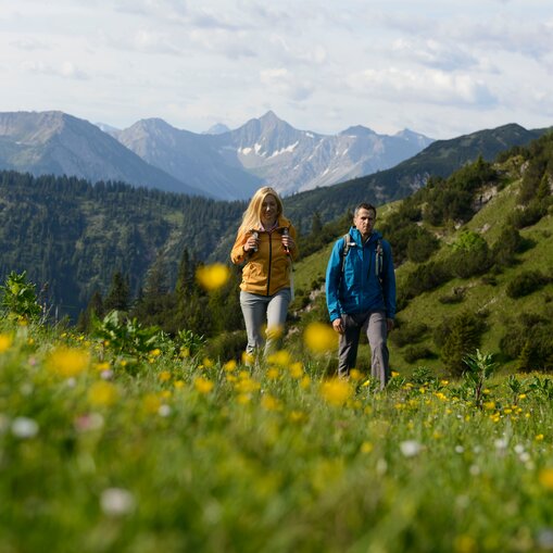 Wanderer in Berglandschaft mit gelben Blumen im Vordergrund