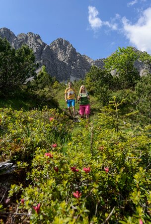 Wanderer in den Bergen am Haldensee