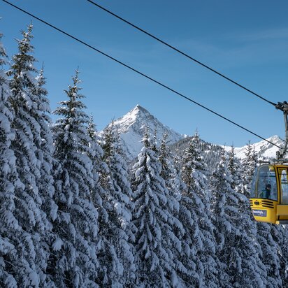 Schneebdeckte Tannen, gelbe Seilbahnkabine, Berg im Hintergrund