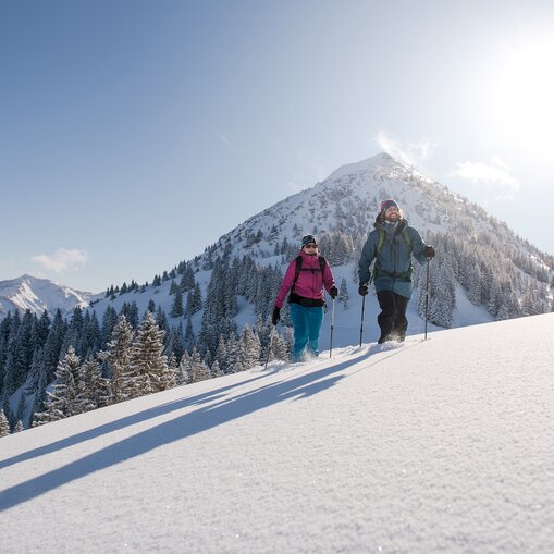 Schneeschuhwanderer vor Bergkulisse im Winter