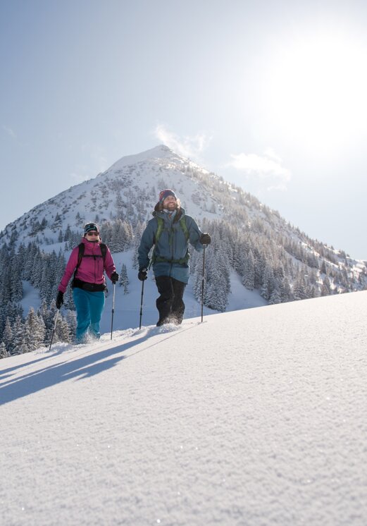 Schneeschuhwanderer vor Bergkulisse im Winter