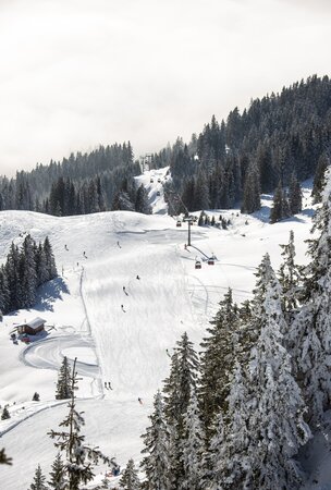 Verschneite Skipiste mit Skifahrern und Sessellift im Wald